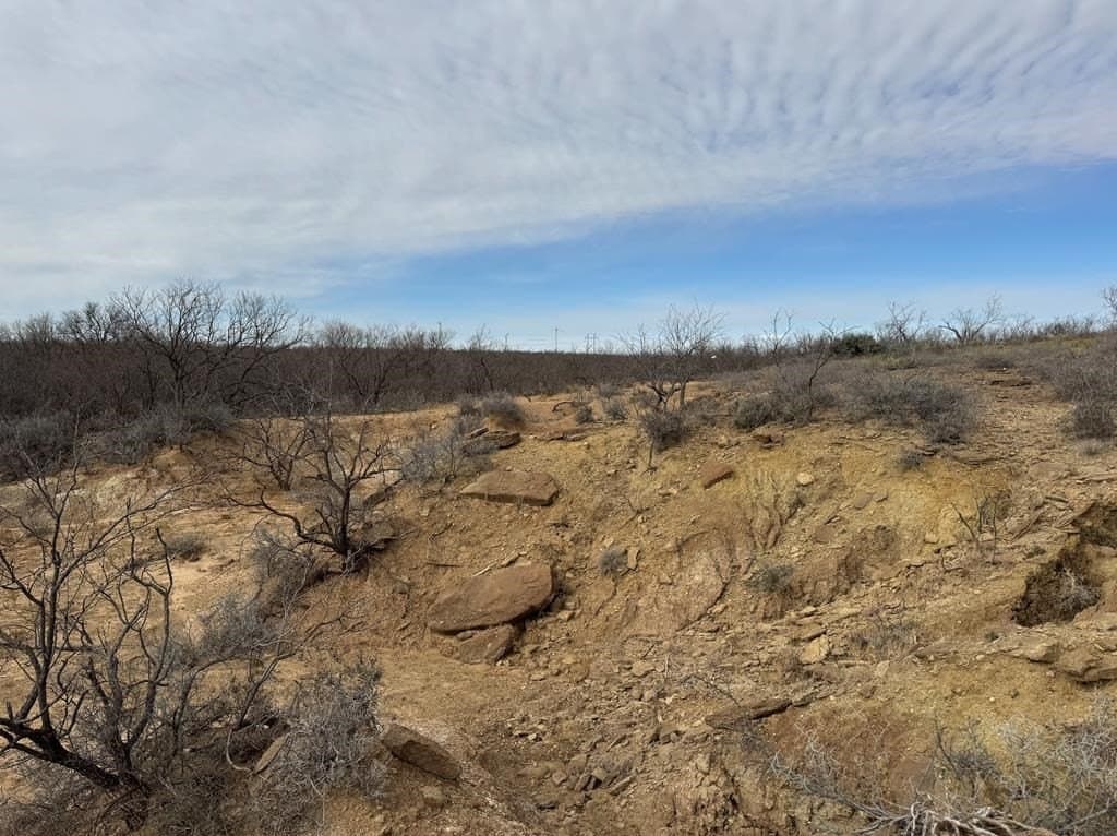 360 acres in Scurry County gallery image 4