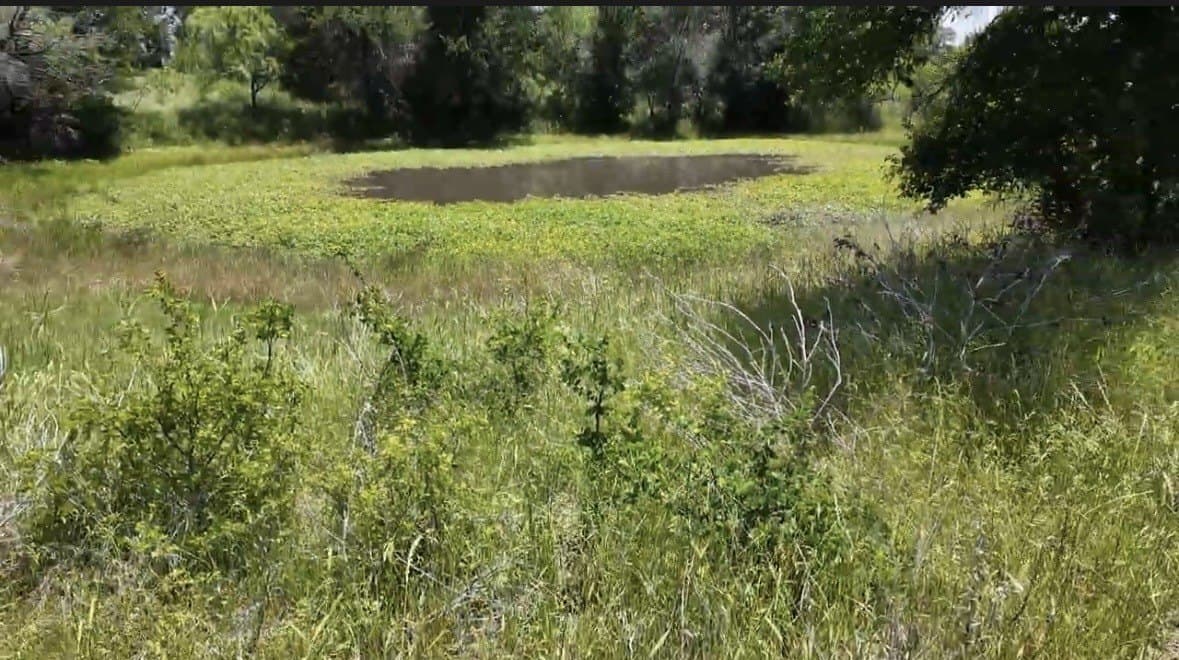 12.59 acres in Palo Pinto County - photo 34