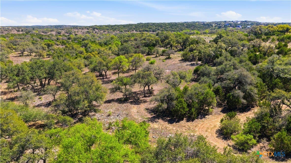 10.02 acres in Comal County - photo 41
