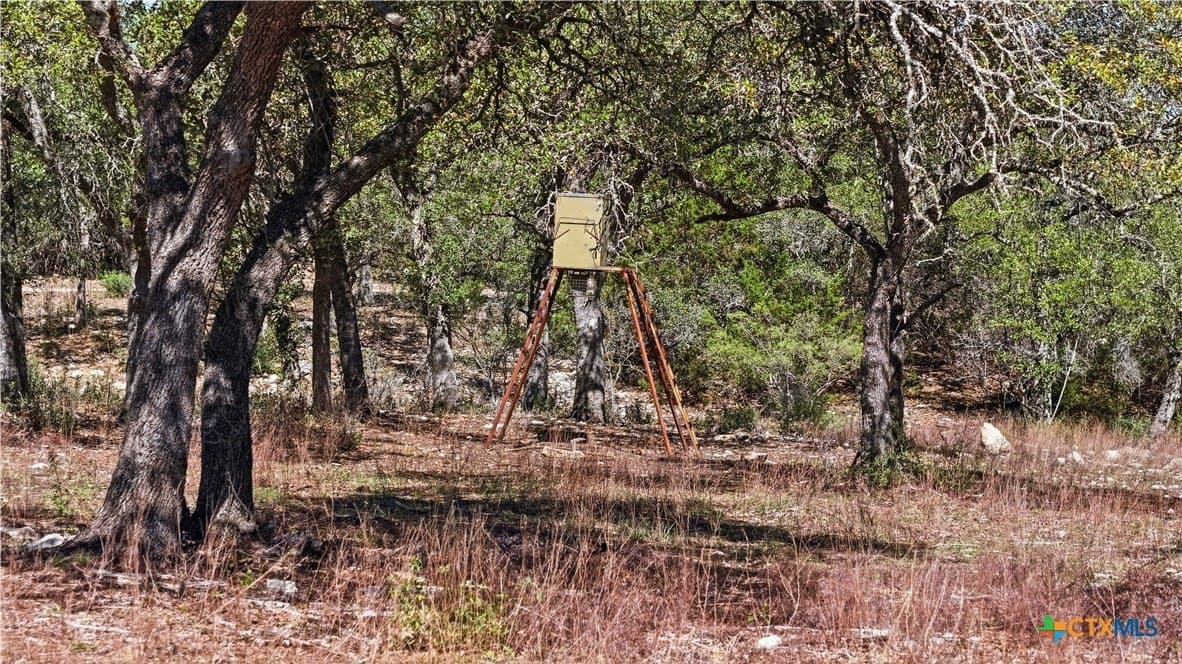 10.02 acres in Comal County - photo 21
