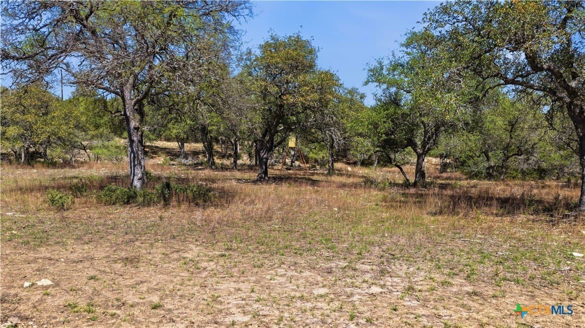 10.02 acres in Comal County - photo 22