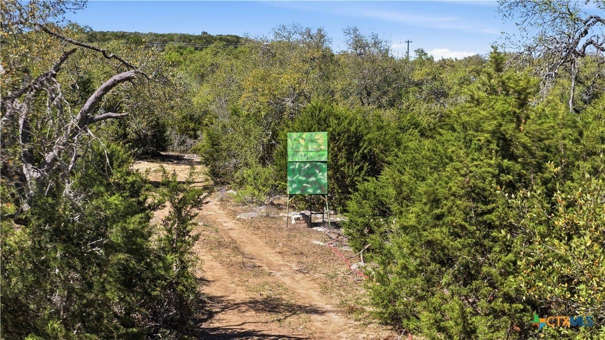 10.02 acres in Comal County - photo 13