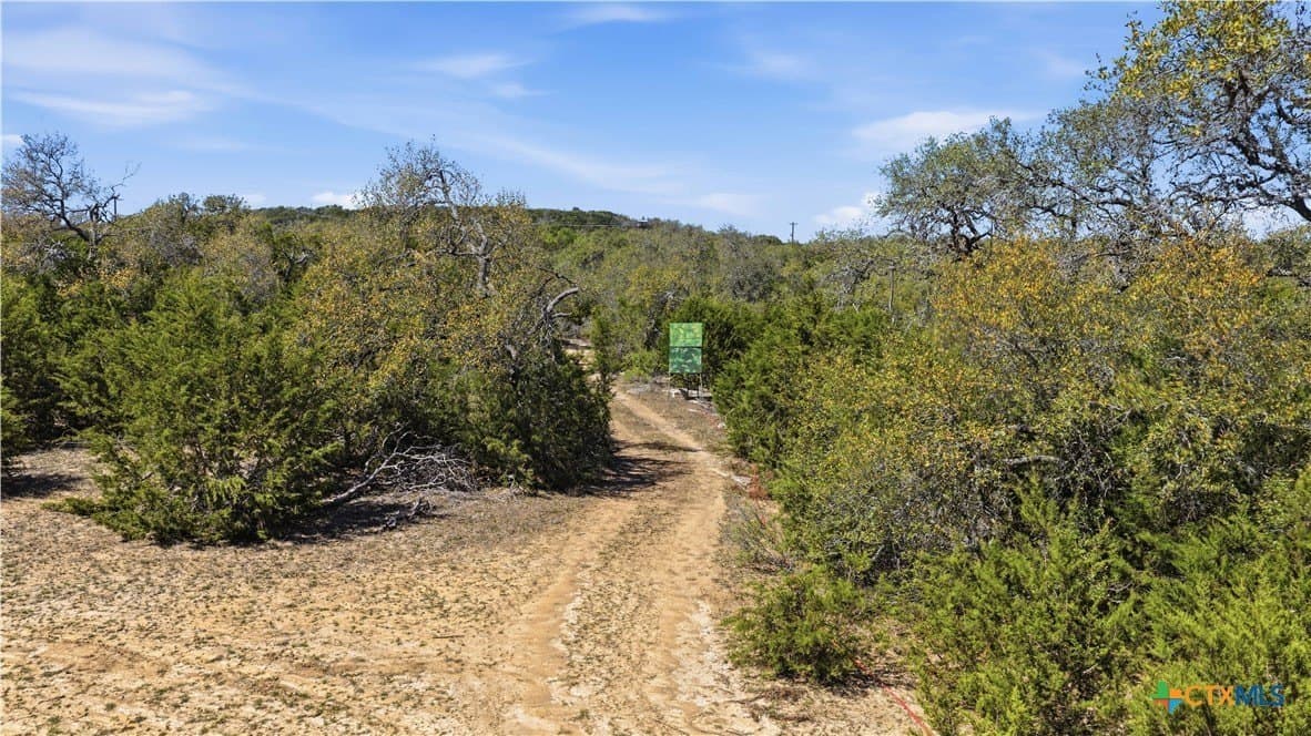 10.02 acres in Comal County - photo 12