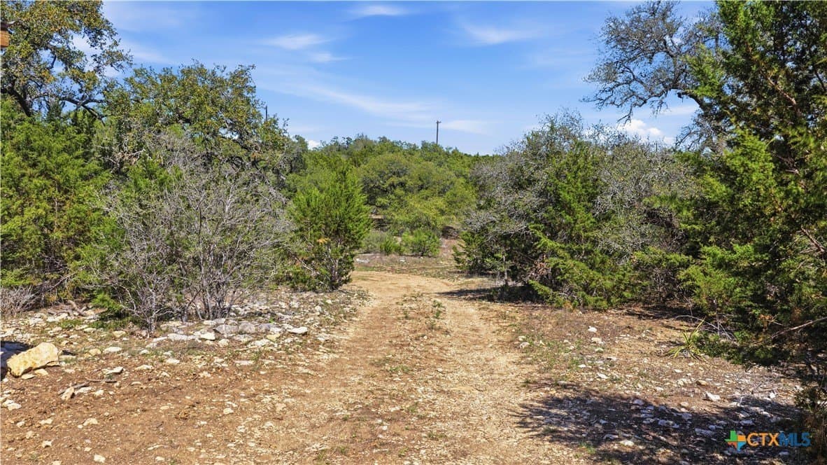 10.02 acres in Comal County - photo 24