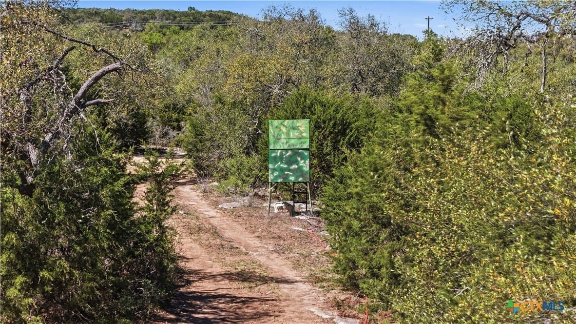 10.02 acres in Comal County - photo 14