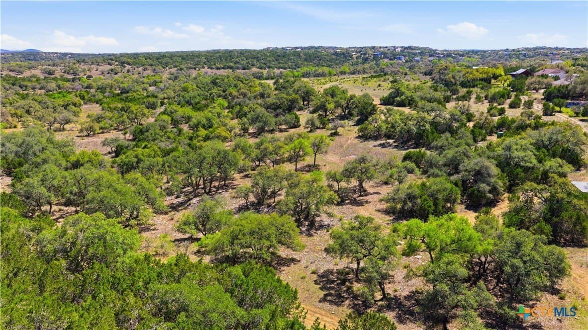 10.02 acres in Comal County - photo 42