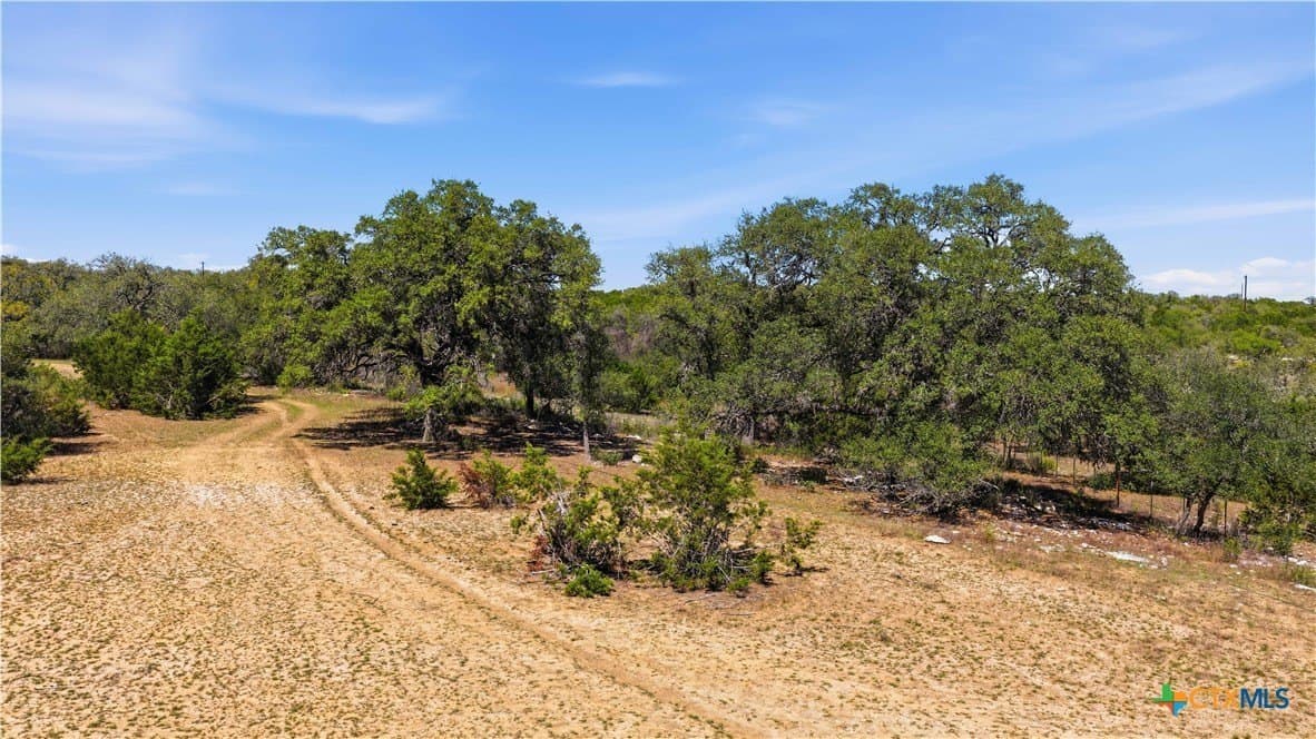 10.02 acres in Comal County - photo 15