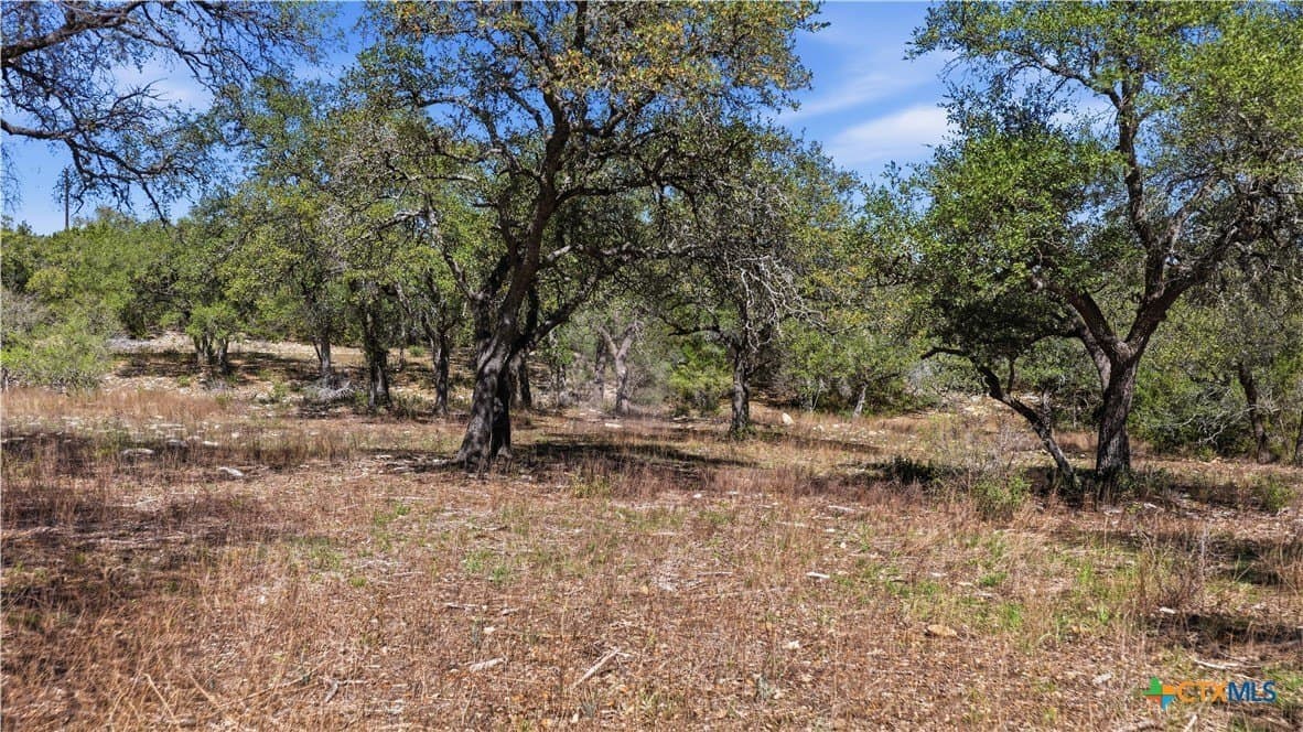 10.02 acres in Comal County - photo 20
