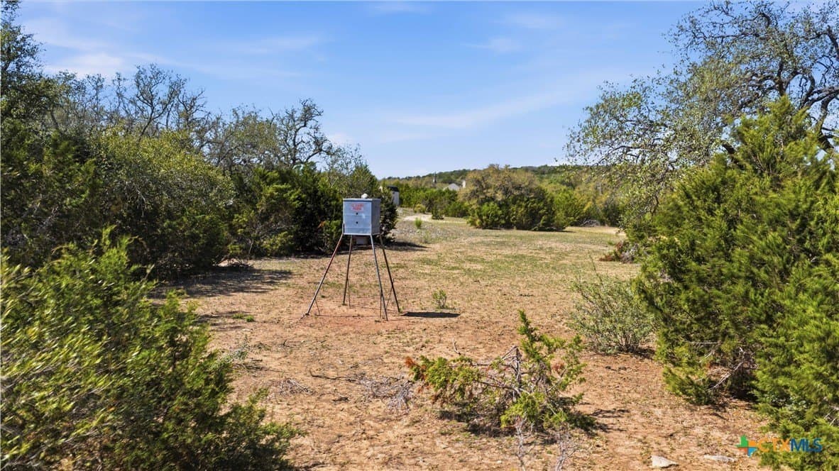 10.02 acres in Comal County - photo 10