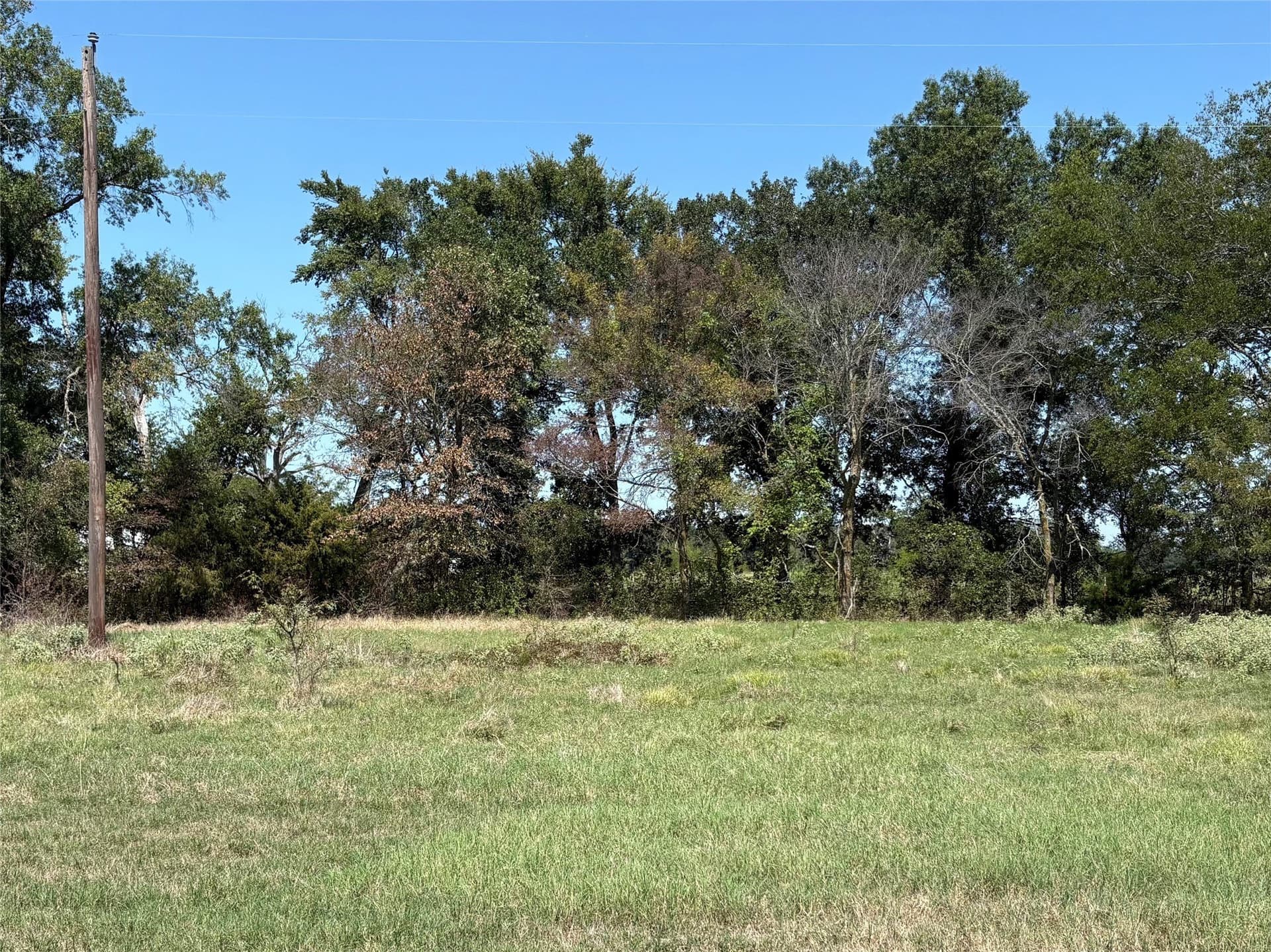 10.49 acres in Hopkins County gallery image 3