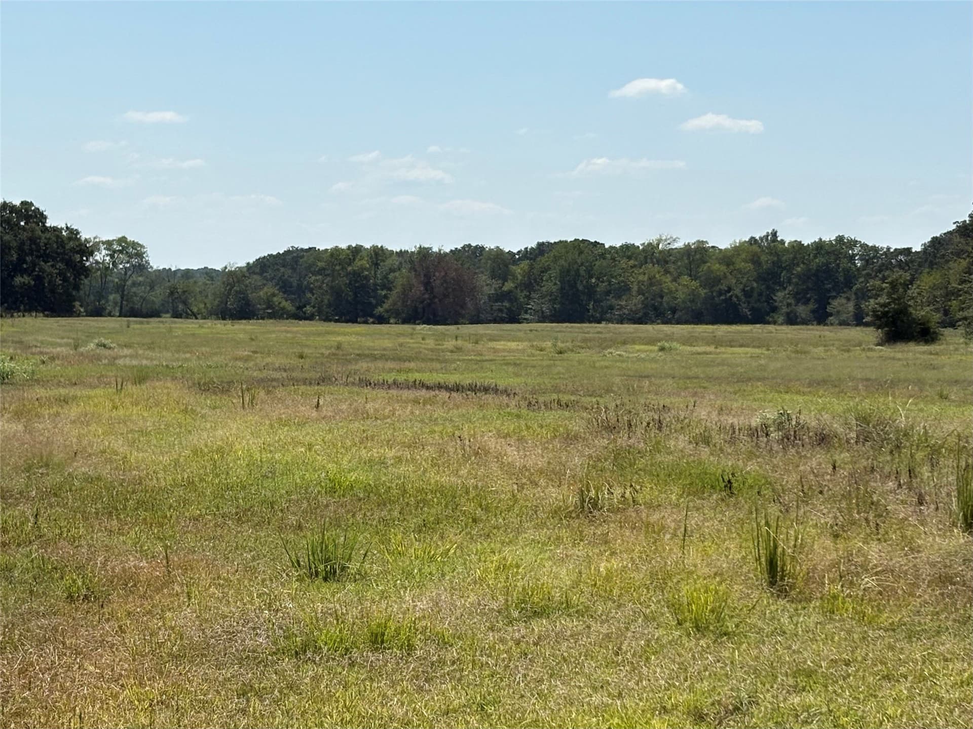 10.49 acres in Hopkins County - photo 11