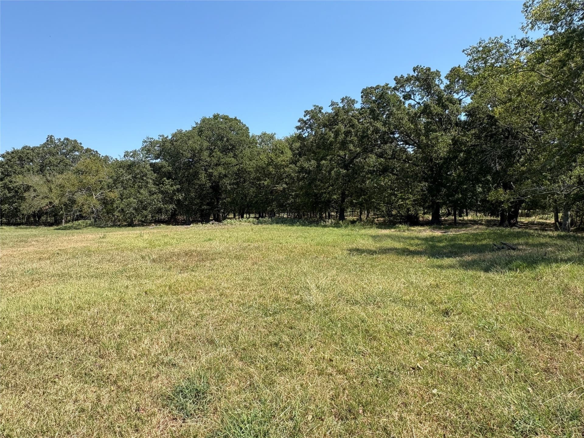 10.49 acres in Hopkins County gallery image 2