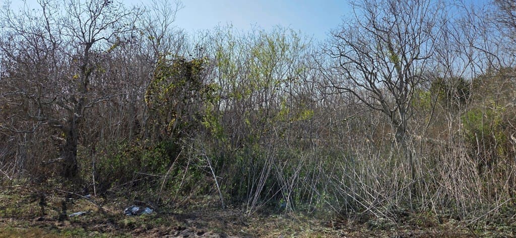 2.66 acres in Texas County - photo 4