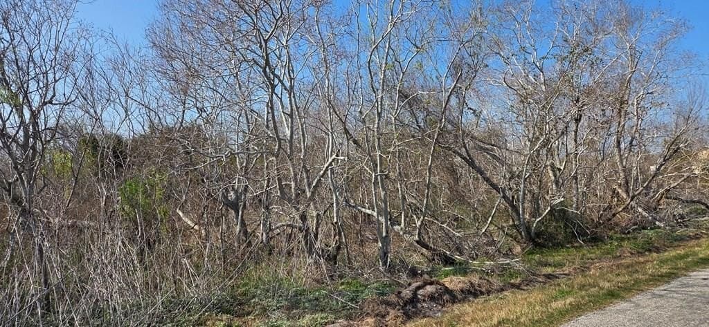 2.66 acres in Texas County