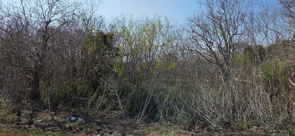 2.66 acres in Texas County - photo 2