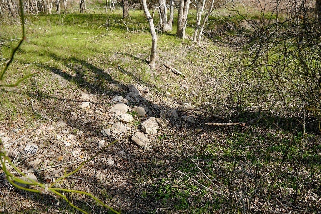 72.51 acres in Fayette County - photo 30