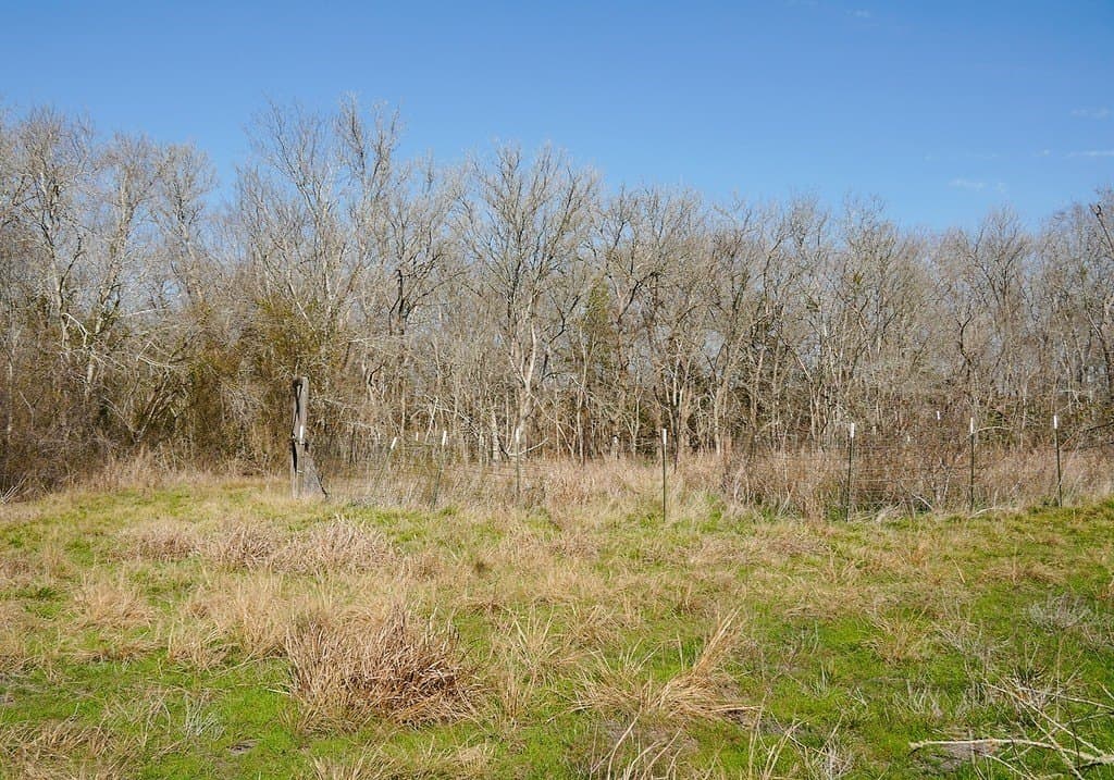 72.51 acres in Fayette County - photo 29