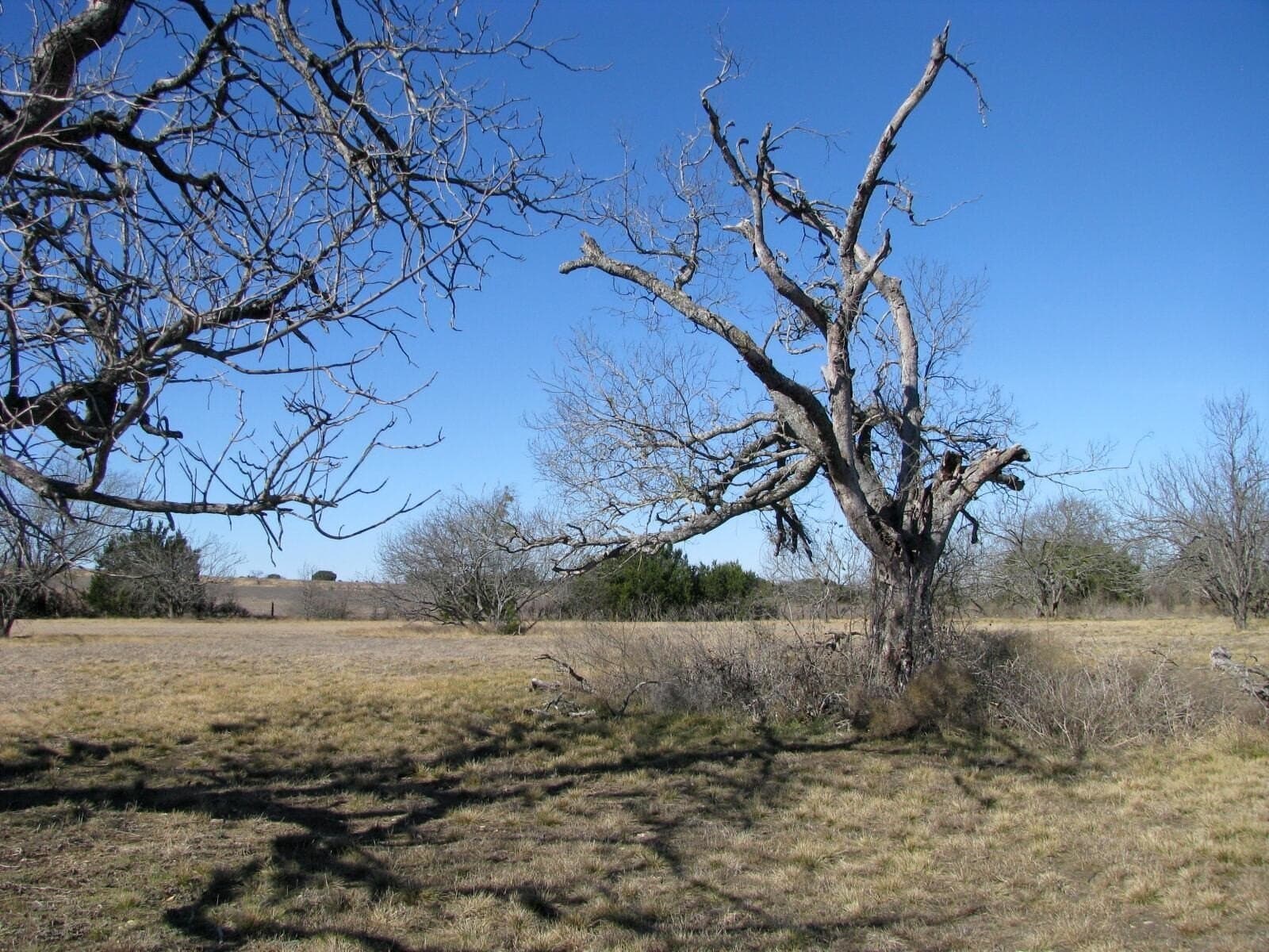 3 acres in Coryell County gallery image 2