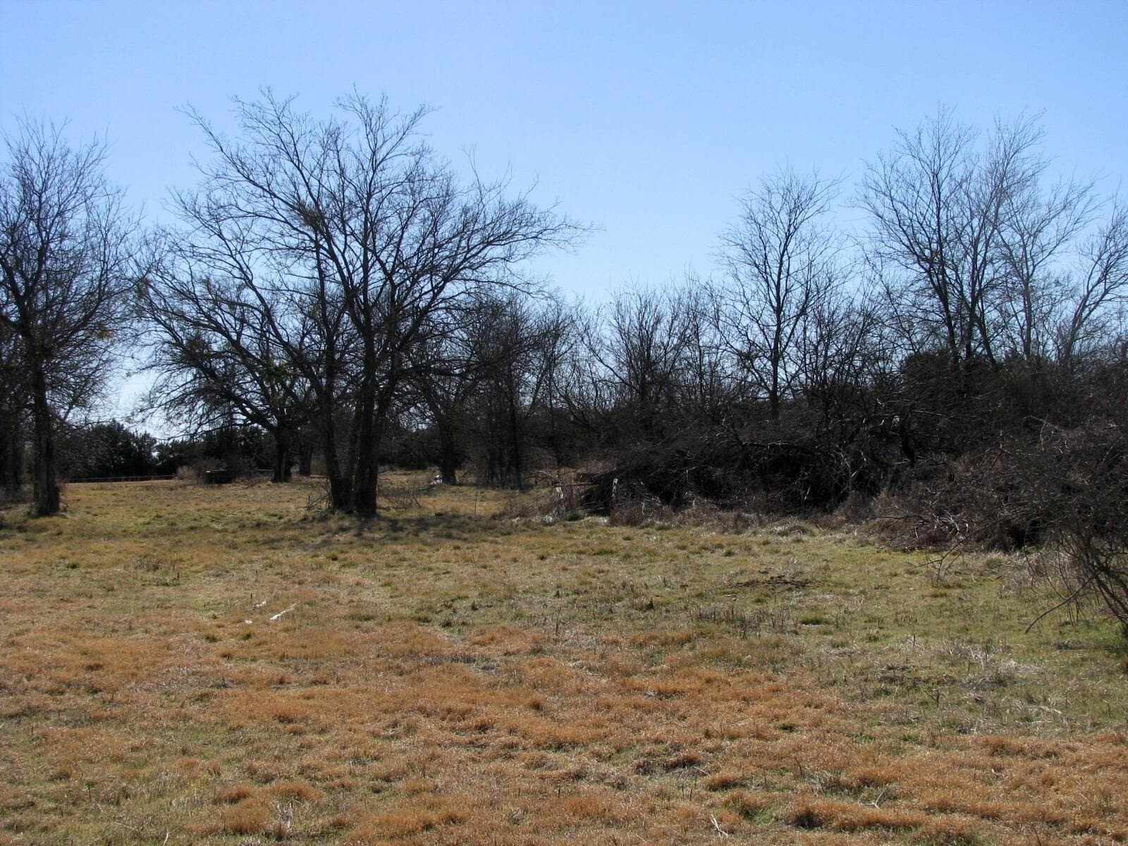 3 acres in Coryell County - photo 11