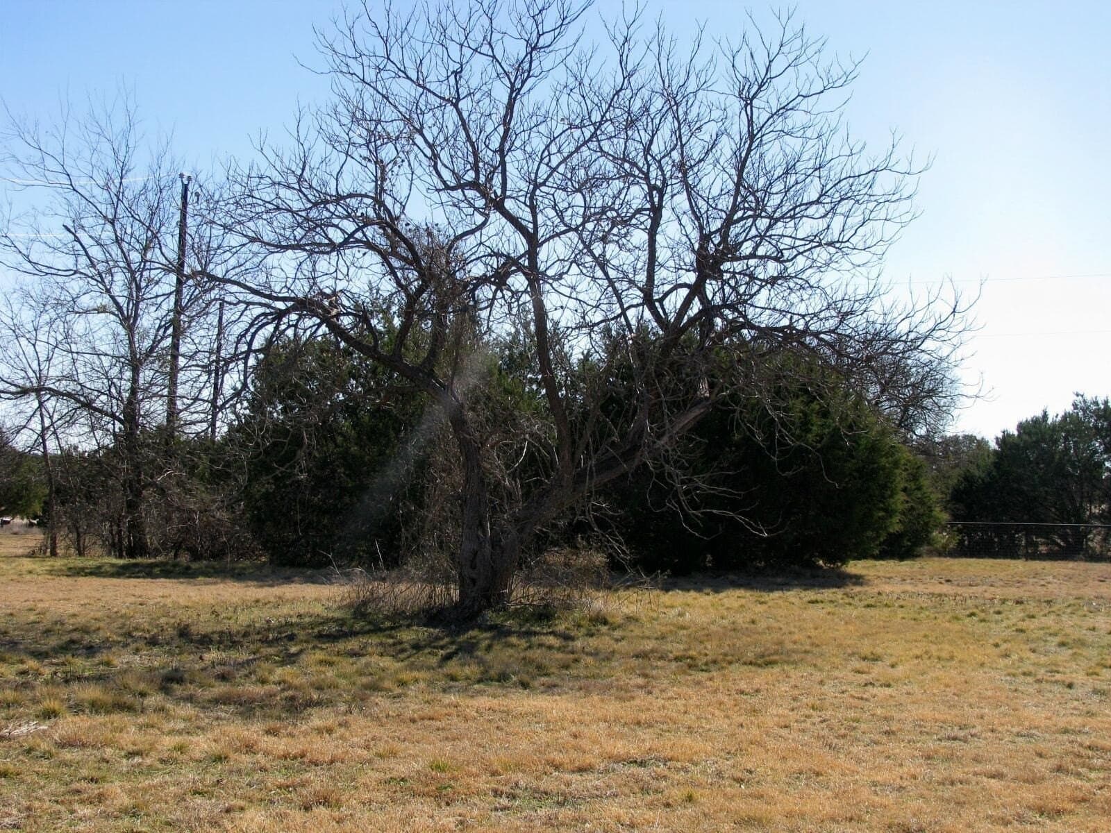 3 acres in Coryell County - photo 15