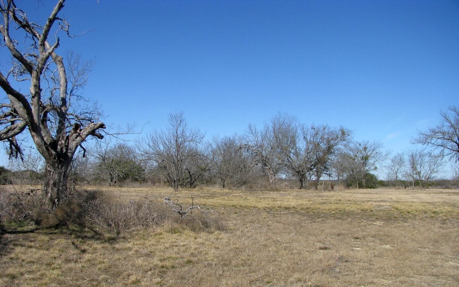 3 acres in Coryell County - photo 6