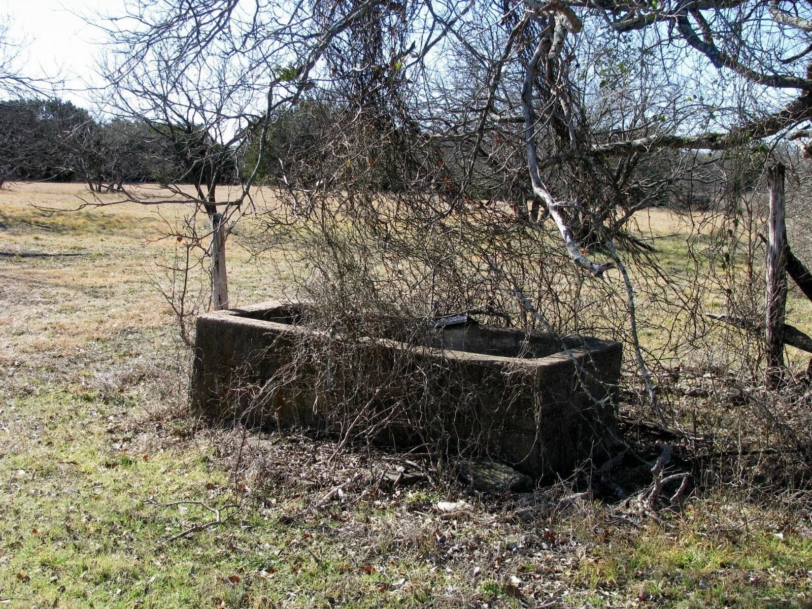3 acres in Coryell County gallery image 4
