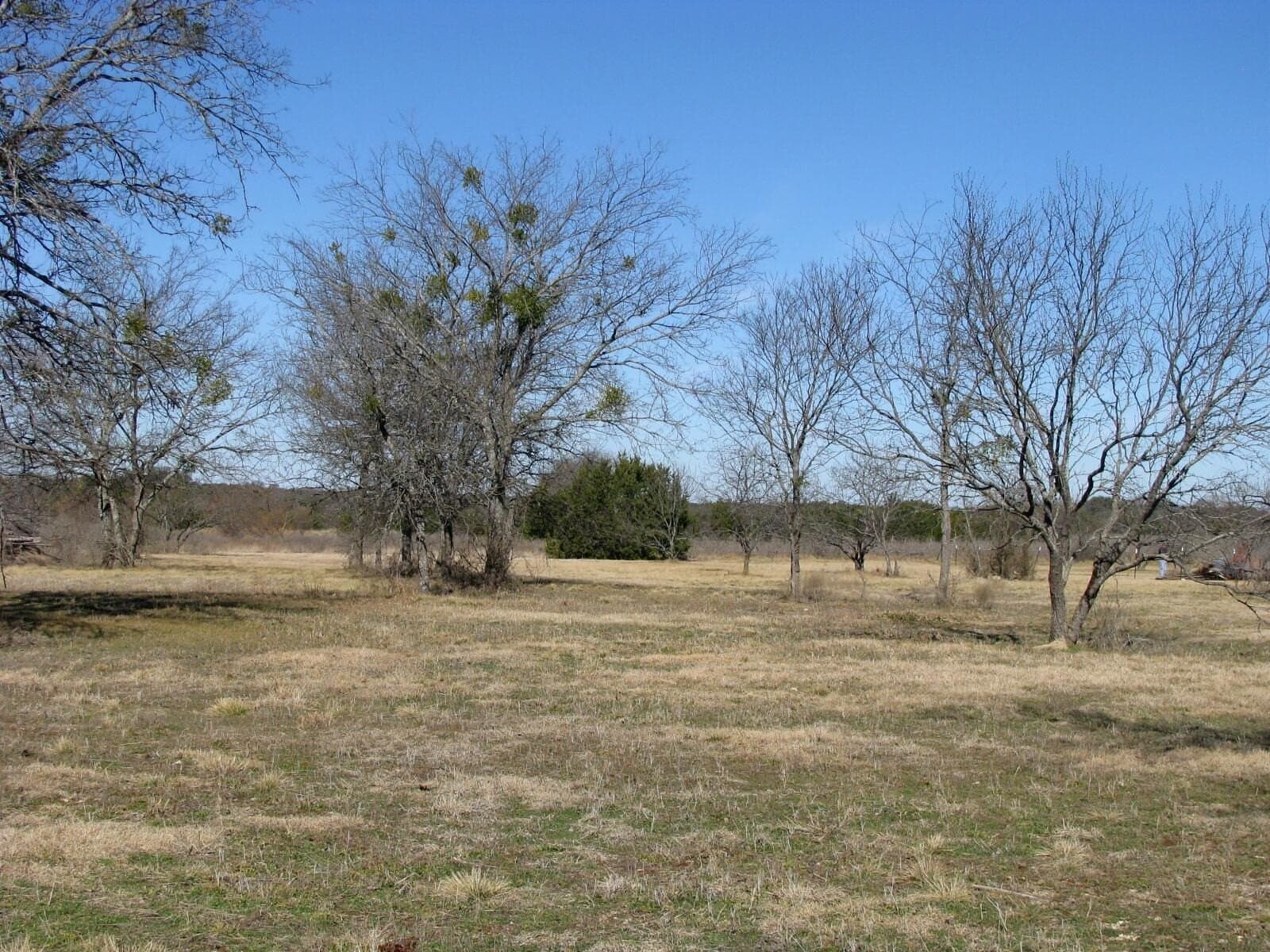 3 acres in Coryell County - photo 8