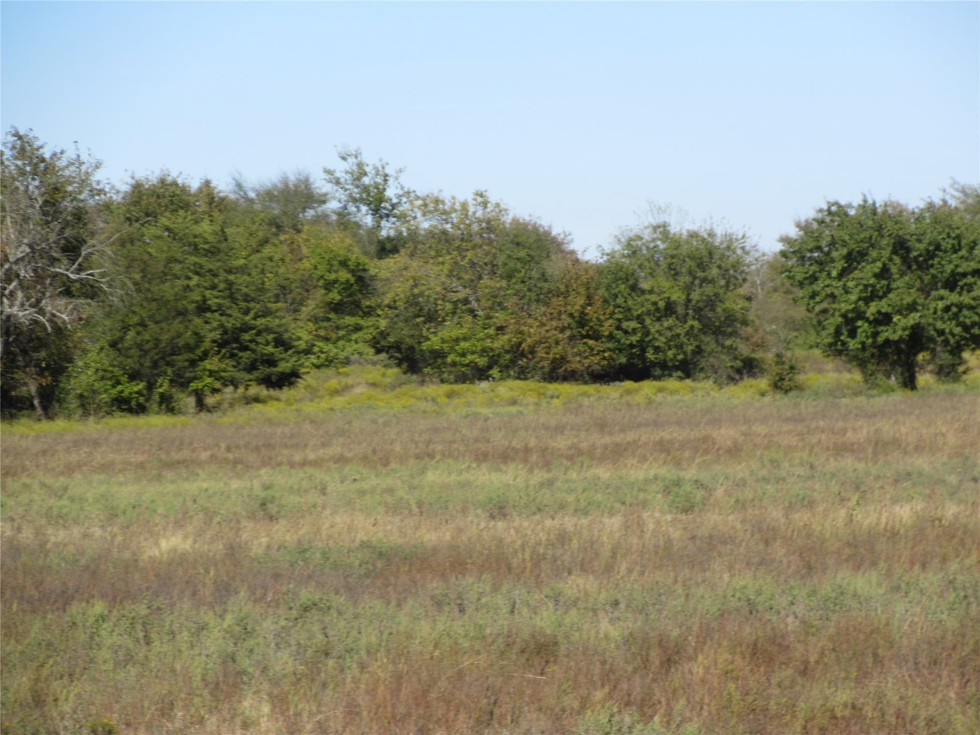 15.5 acres in Fannin County gallery image 2