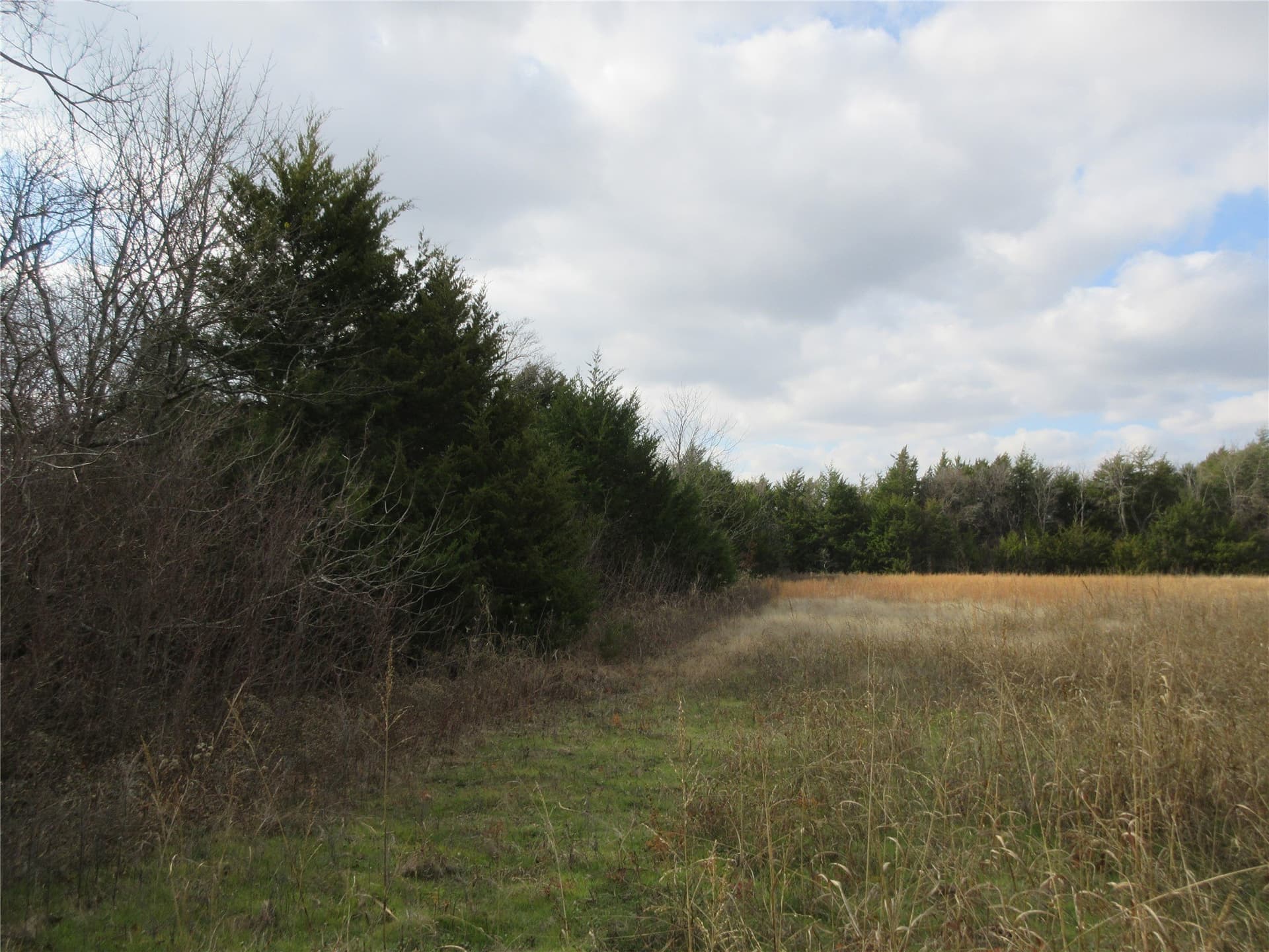 15.5 acres in Fannin County featured view