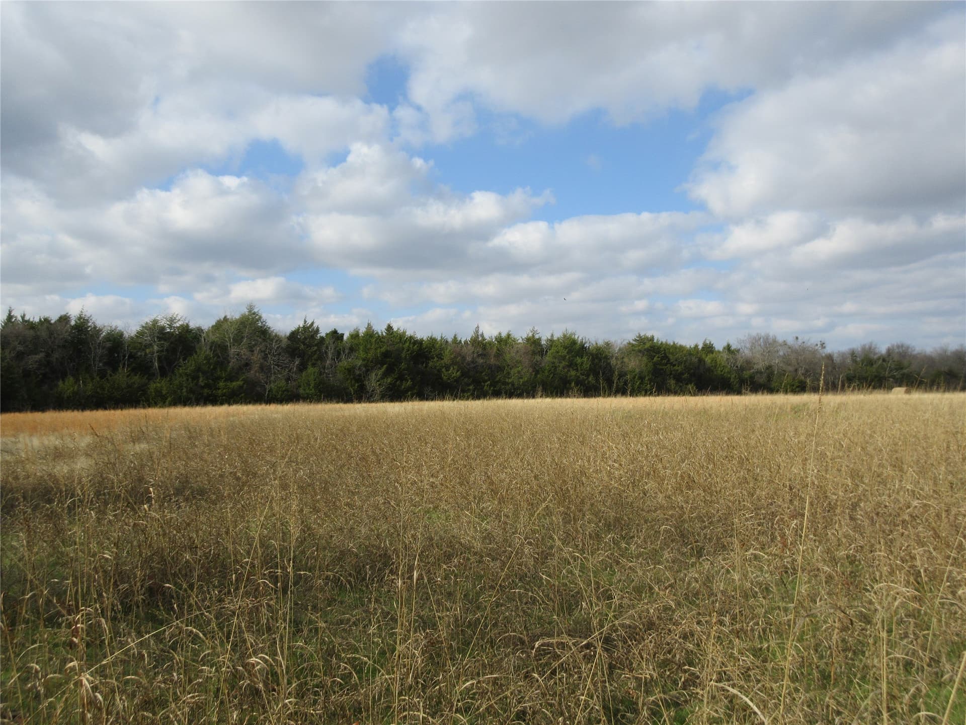 15.5 acres in Fannin County - photo 6
