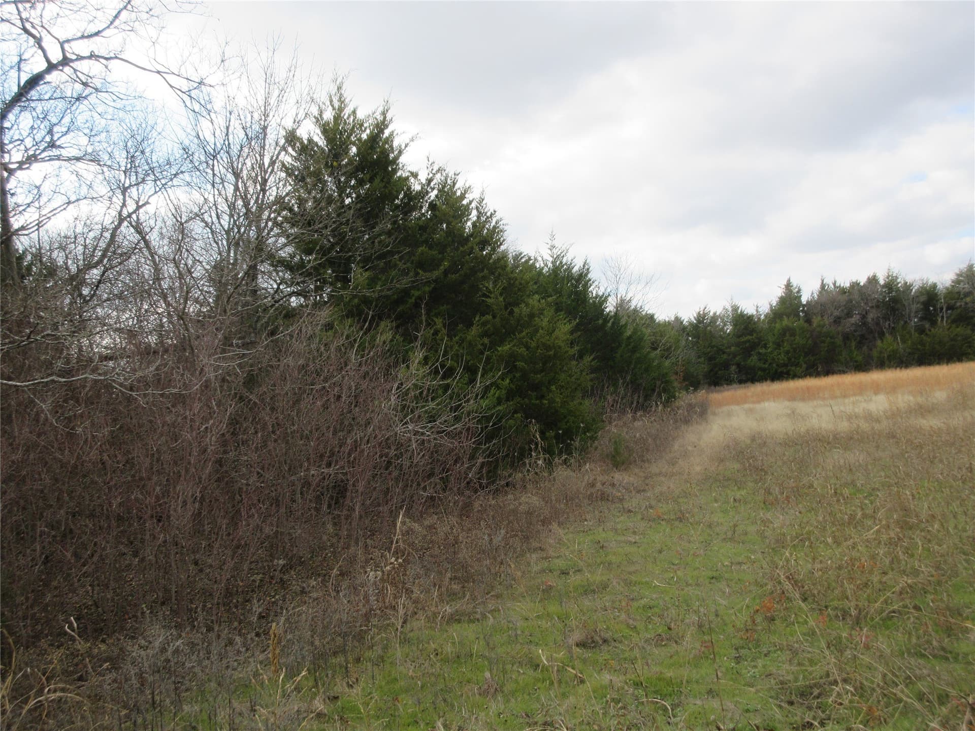 15.5 acres in Fannin County - photo 7