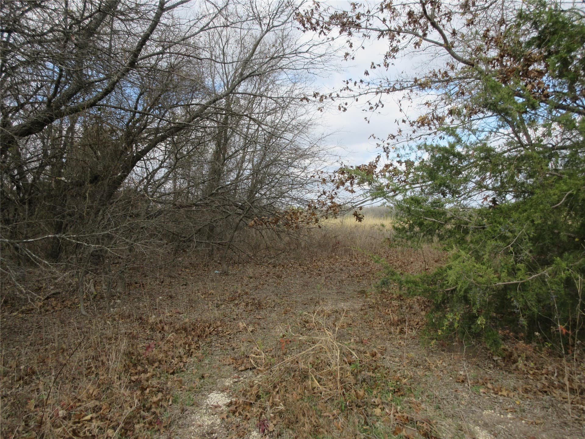 15.5 acres in Fannin County