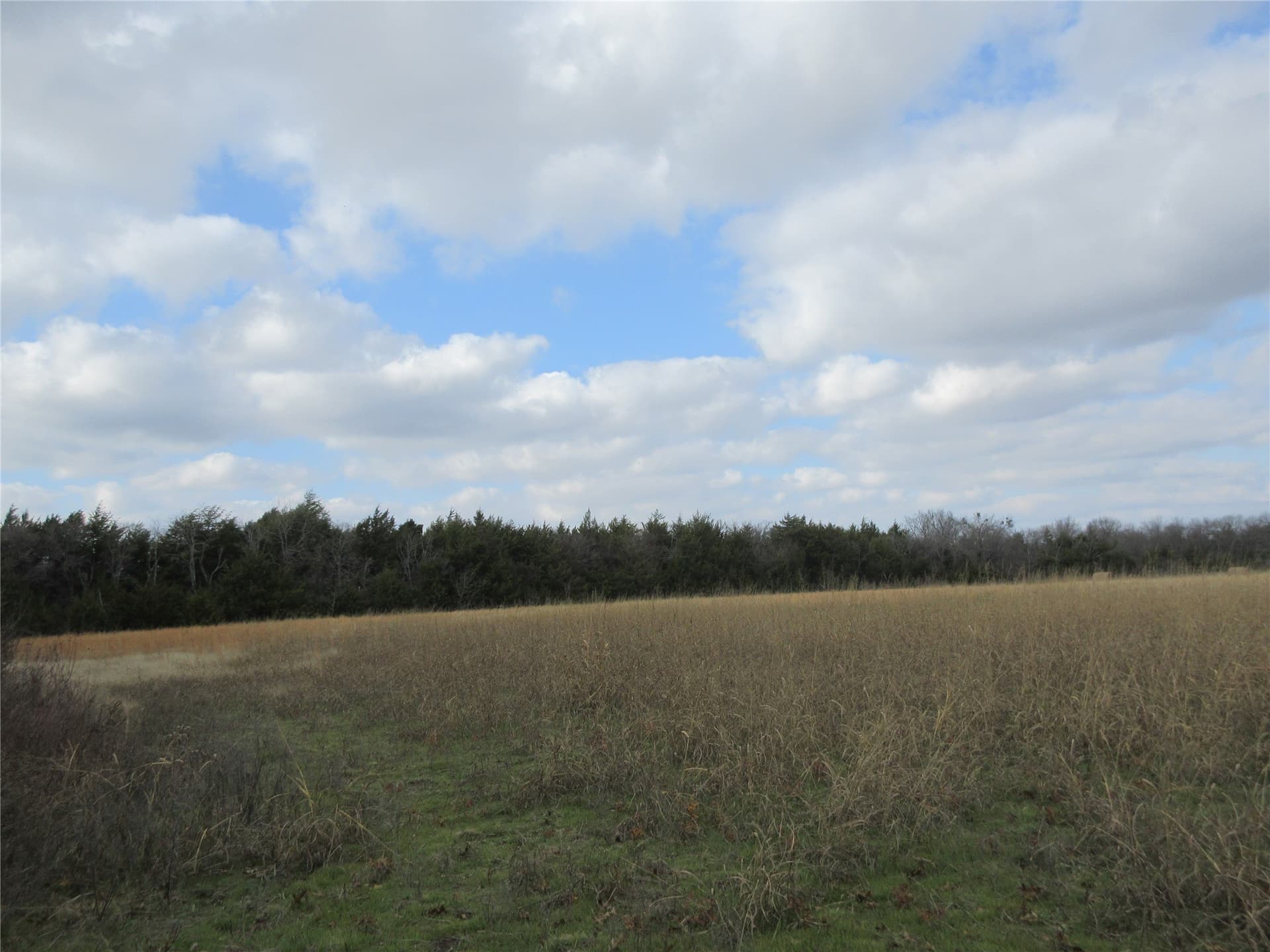 15.5 acres in Fannin County gallery image 3