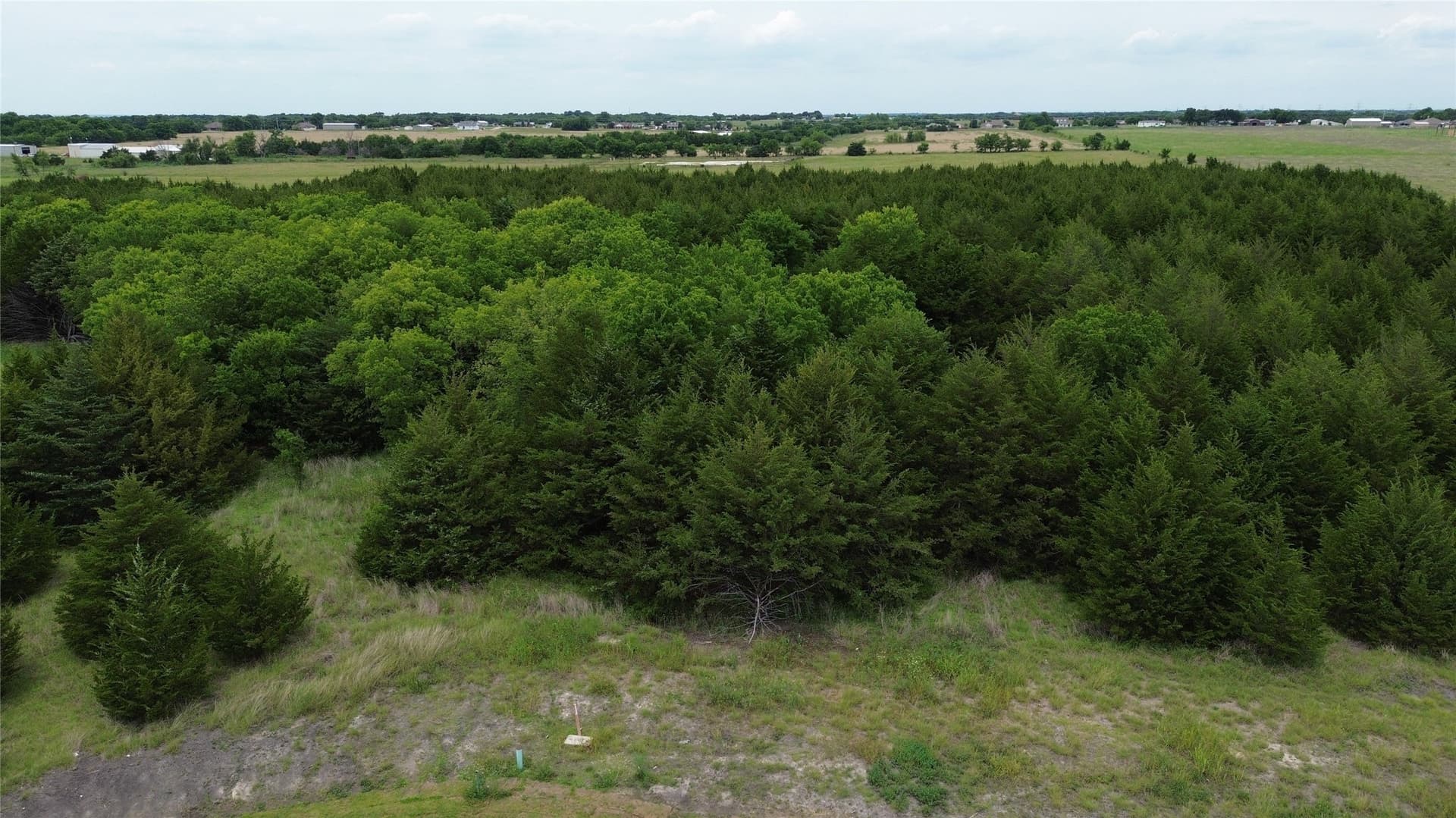 1.5 acres in Collin County gallery image 2