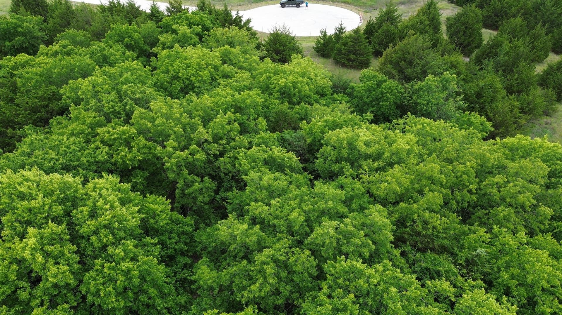 1.5 acres in Collin County gallery image 3