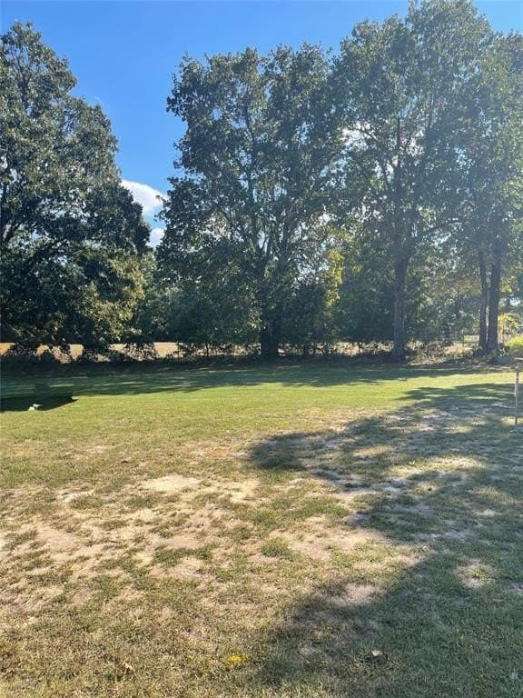 10.8 acres in Lamar County gallery image 2