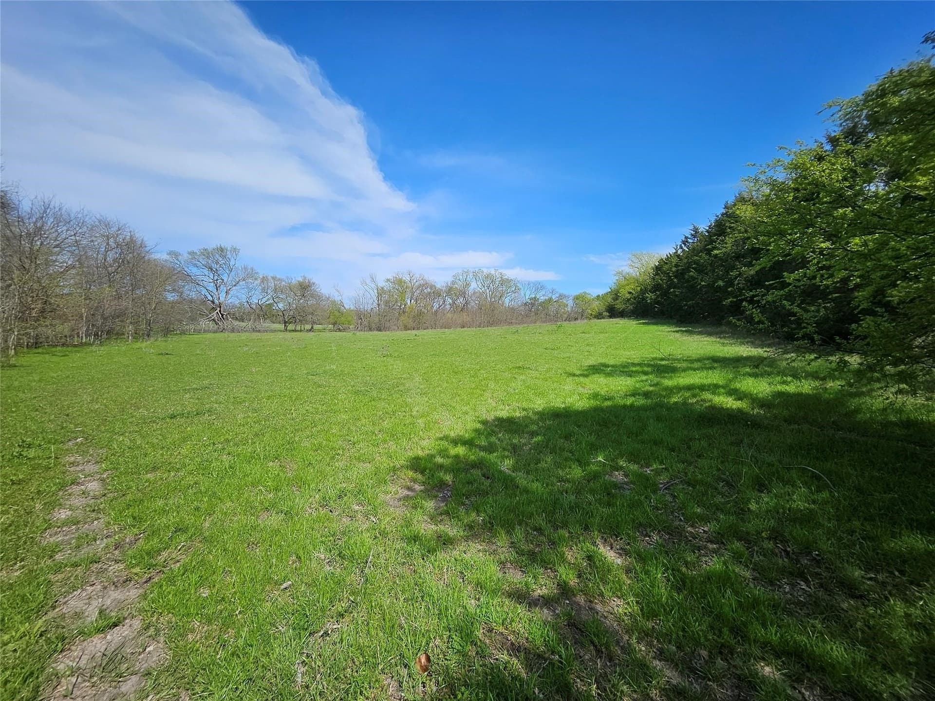 111 acres in Grayson County - photo 13