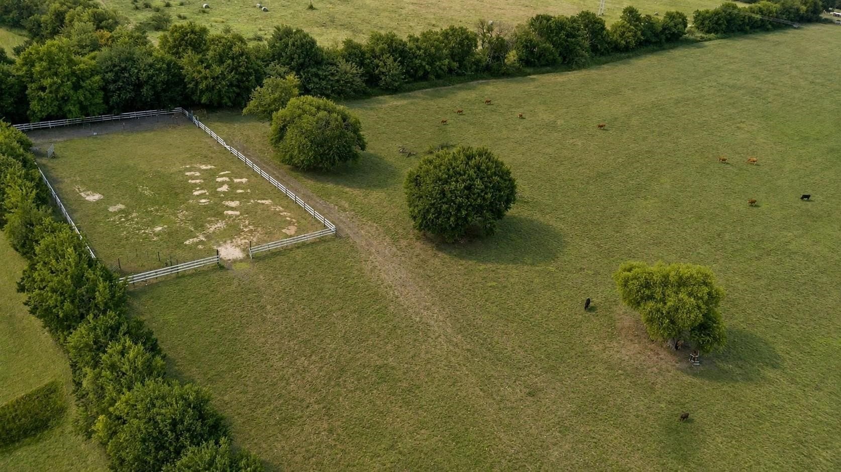 111 acres in Grayson County - photo 5