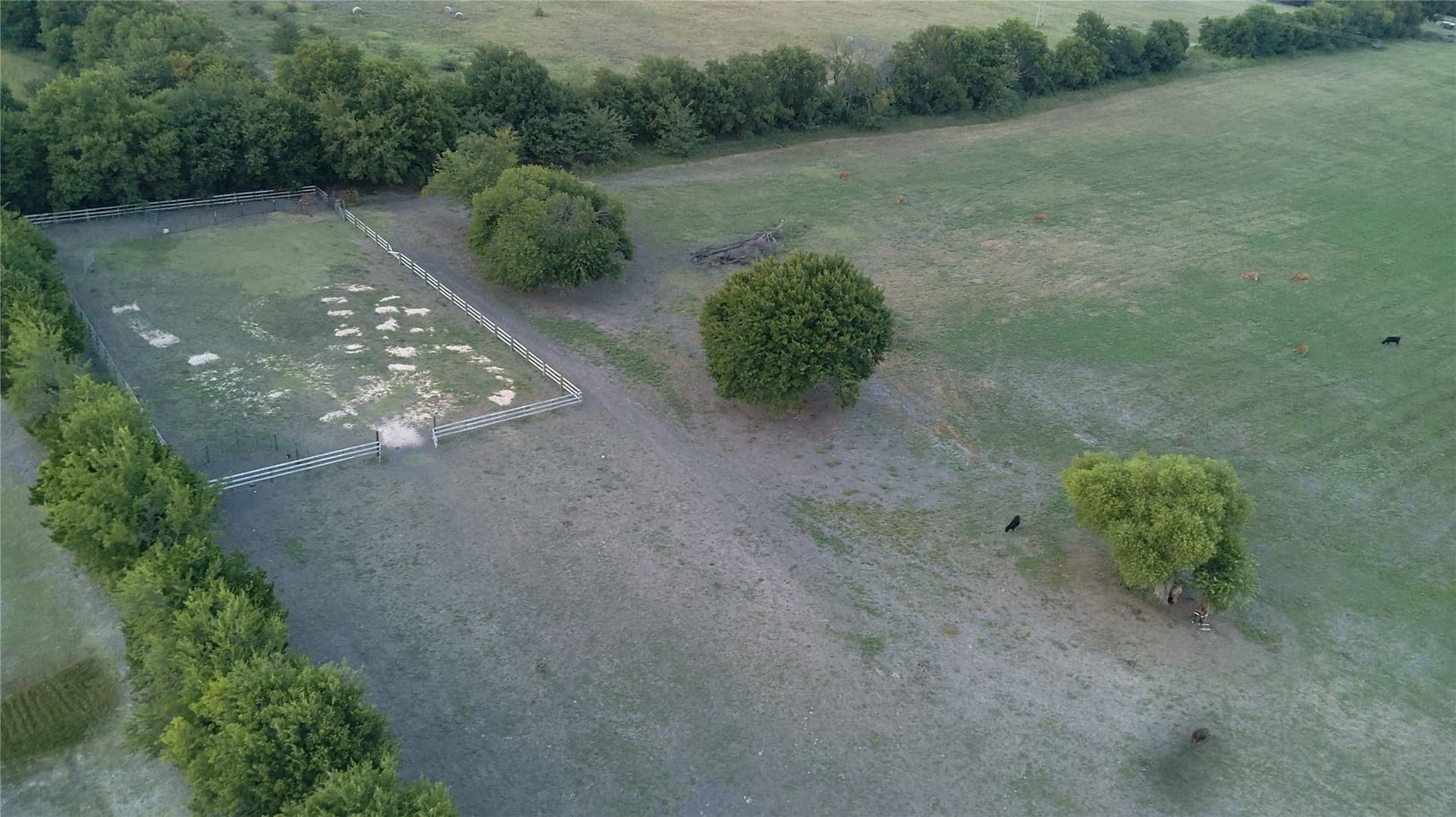 111 acres in Grayson County - photo 36