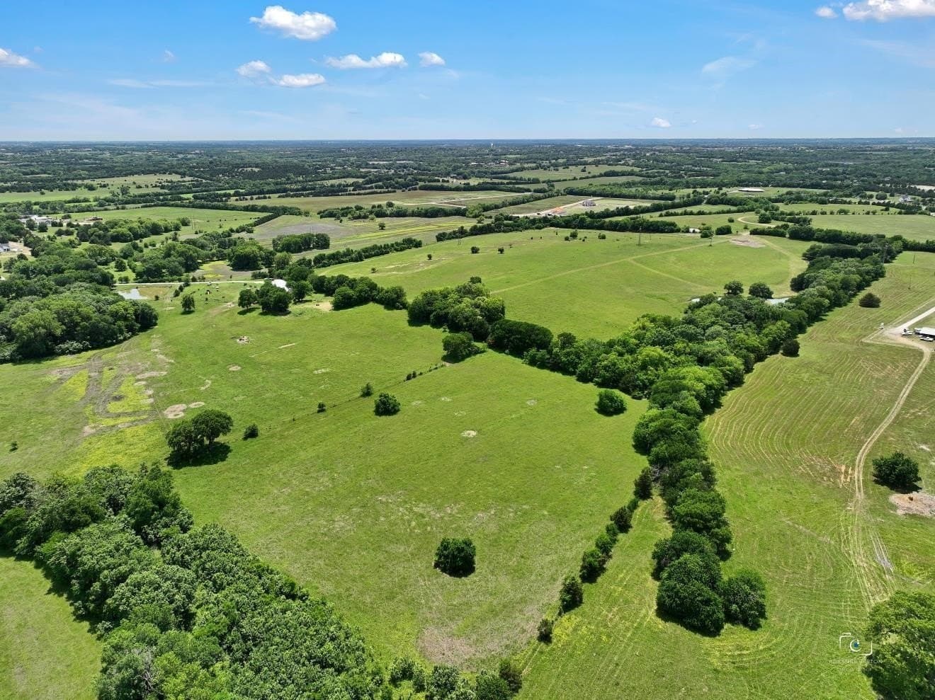 111 acres in Grayson County - photo 12