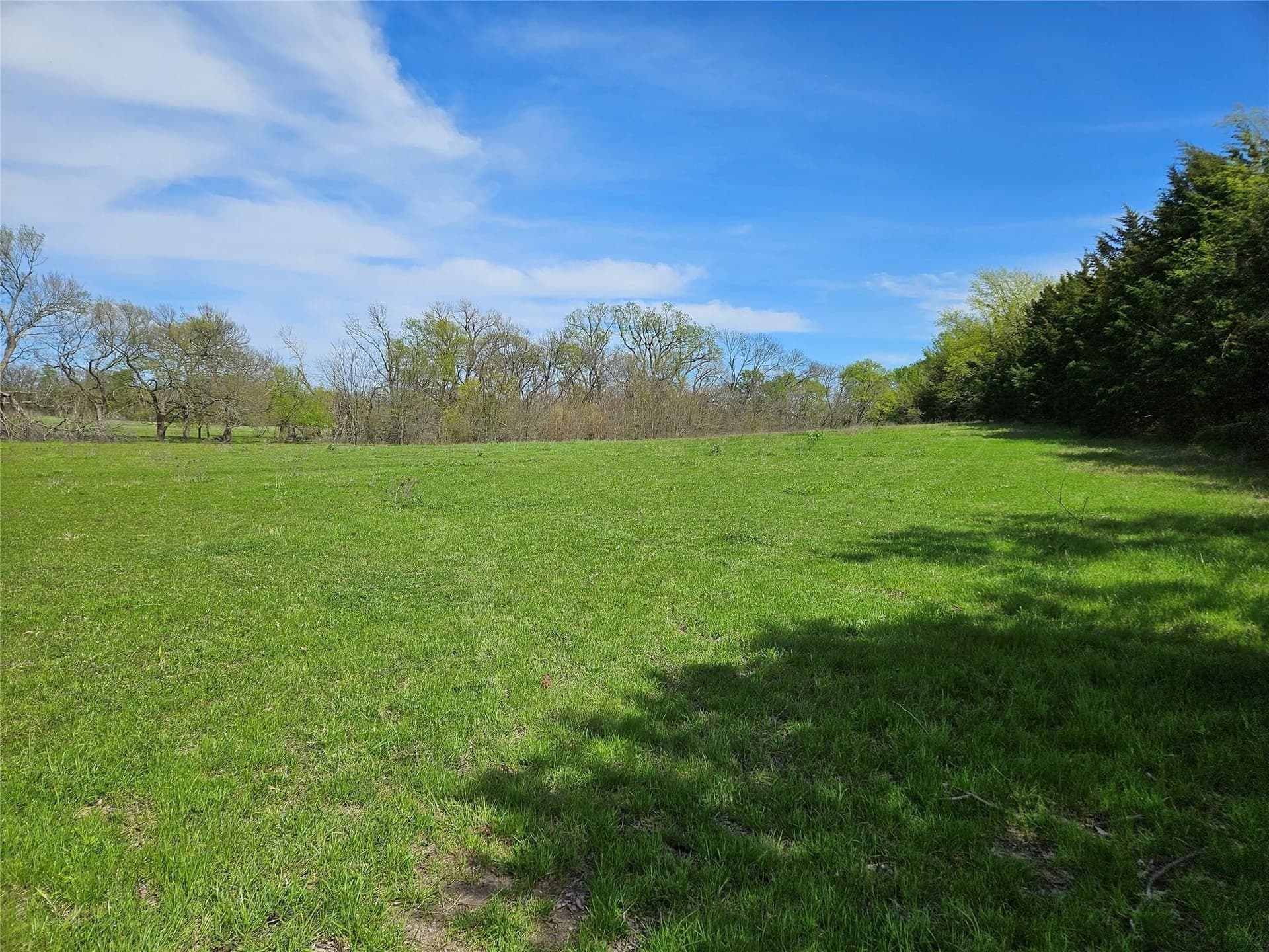 111 acres in Grayson County - photo 14