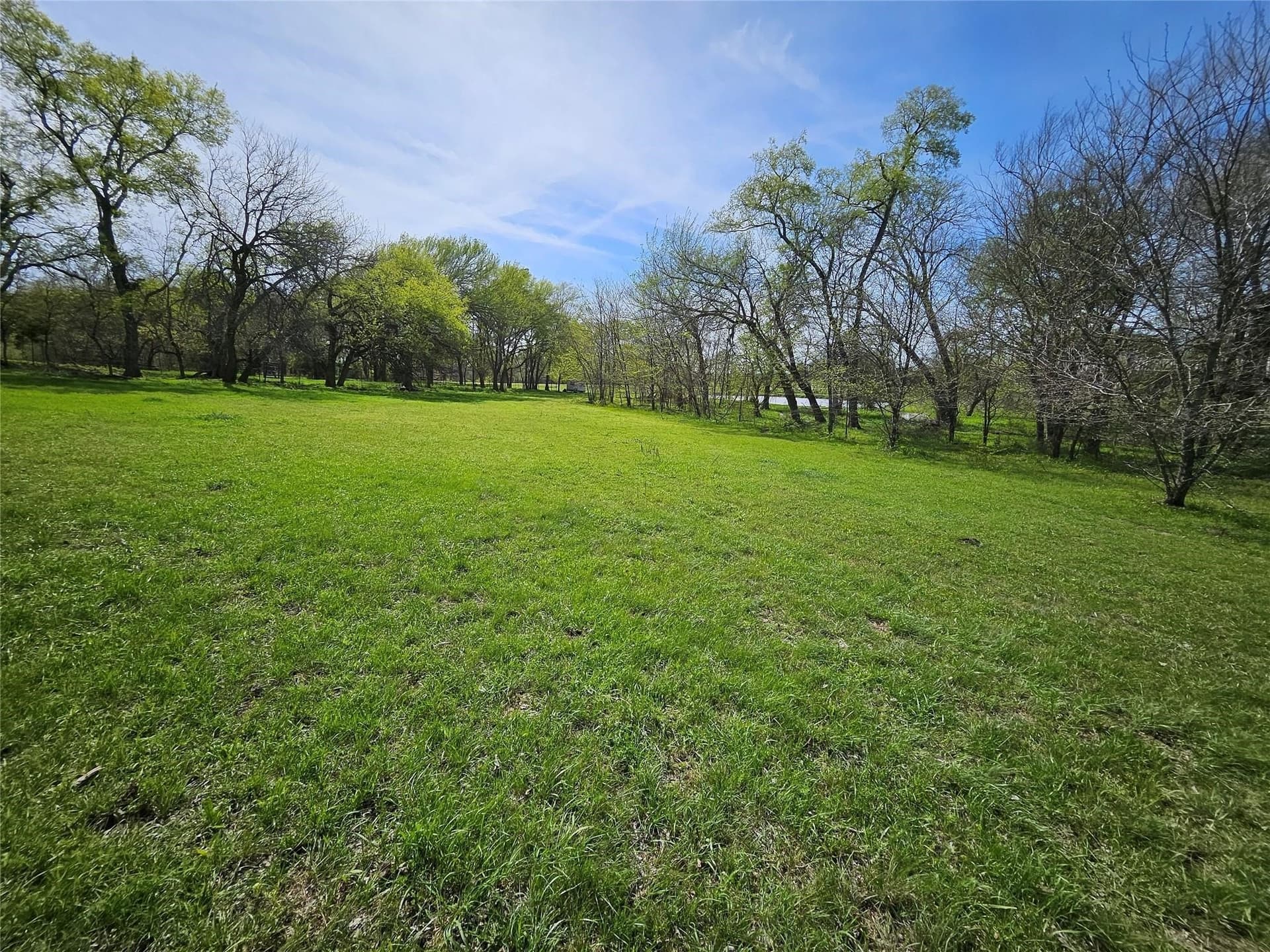 111 acres in Grayson County - photo 7