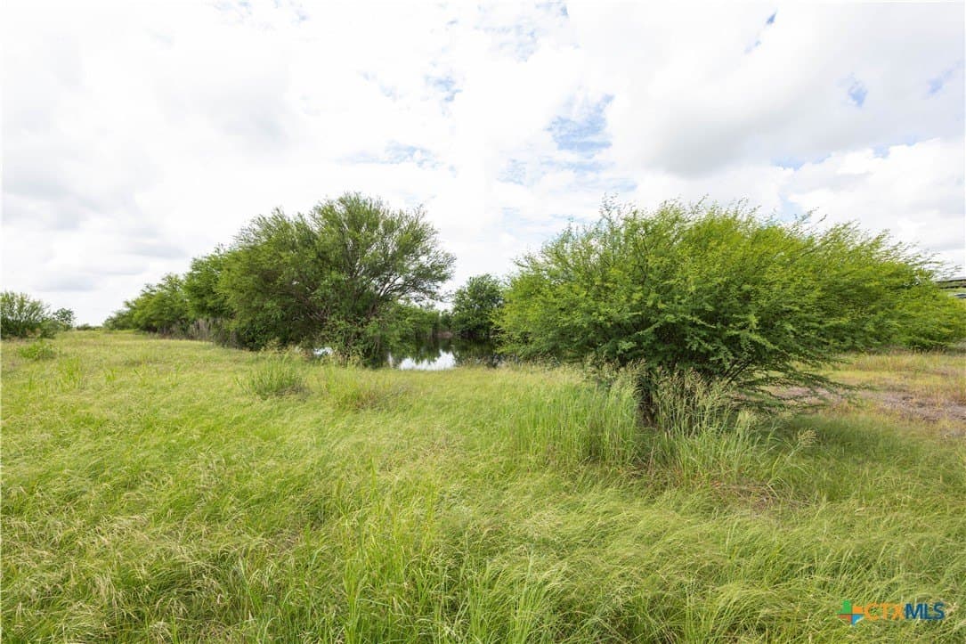 9.72 acres in Bexar County - photo 7