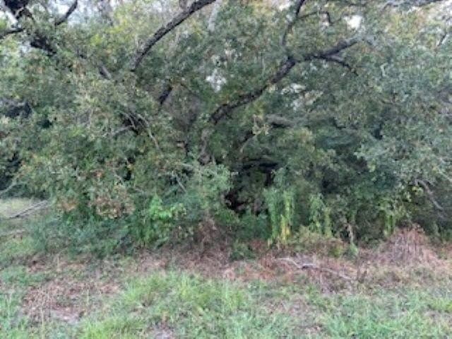 50 acres in Texas County - photo 7