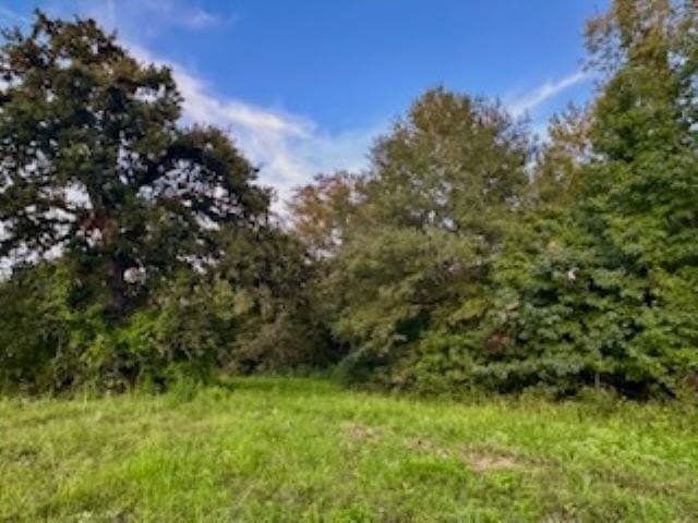 50 acres in Texas County - photo 10