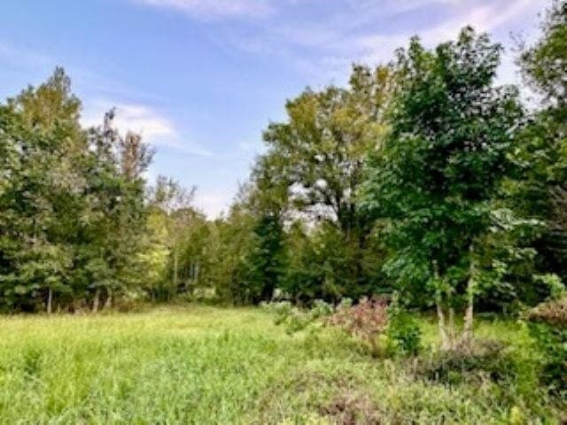 50 acres in Texas County - photo 12