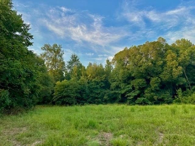 50 acres in Texas County gallery image 3