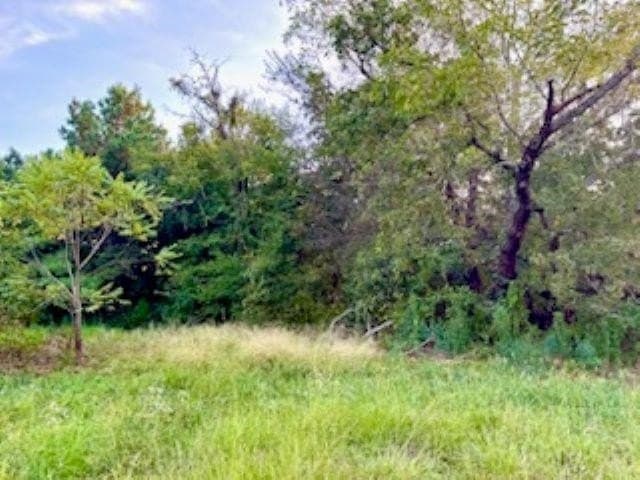 50 acres in Texas County featured view