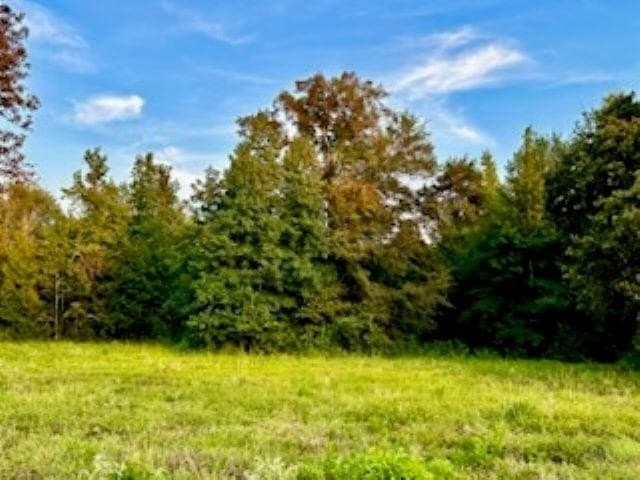 50 acres in Texas County - photo 9