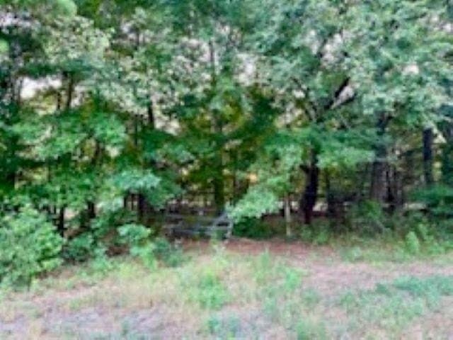 50 acres in Texas County - photo 13